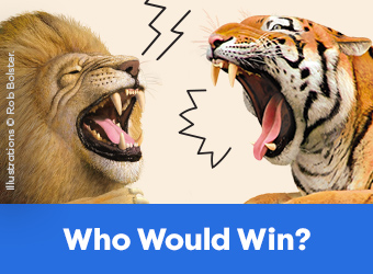 Who Would Win