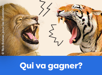 Qui va gagner?