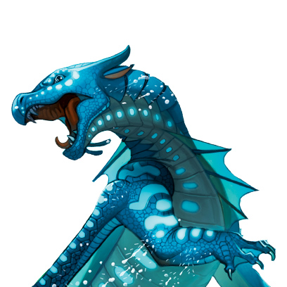 5e année