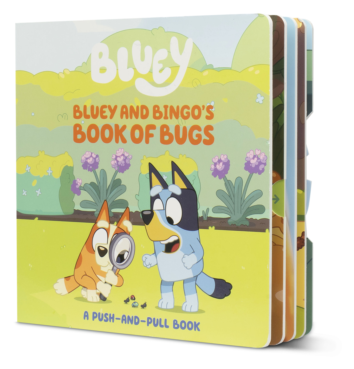 Bluey: Bluey and Bingo's Book of Bugs