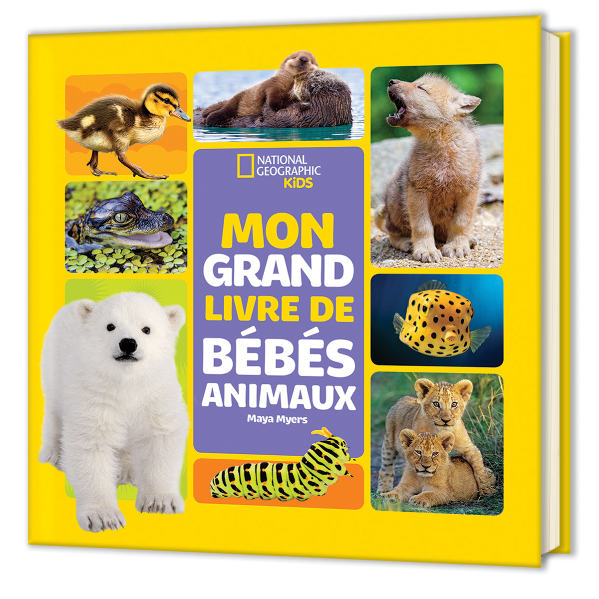  National Geographic Kids: Mon grand livre de b&eacute;b&eacute;s animaux 