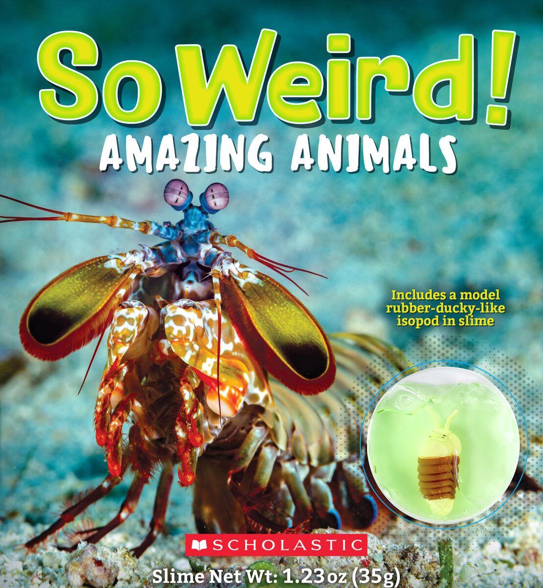  So Weird!: Amazing Animals 