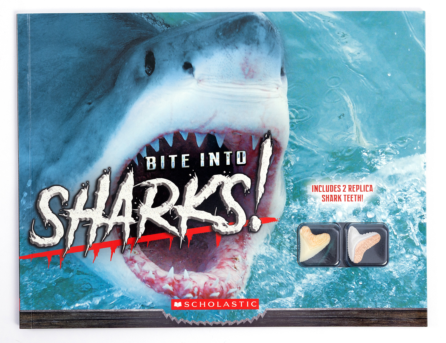 Bite Into Sharks! with Replica Teeth