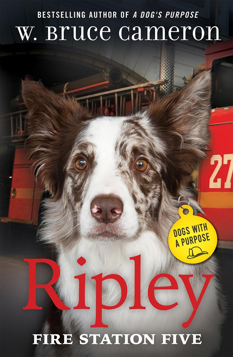  Ripley: Fire Station Five 