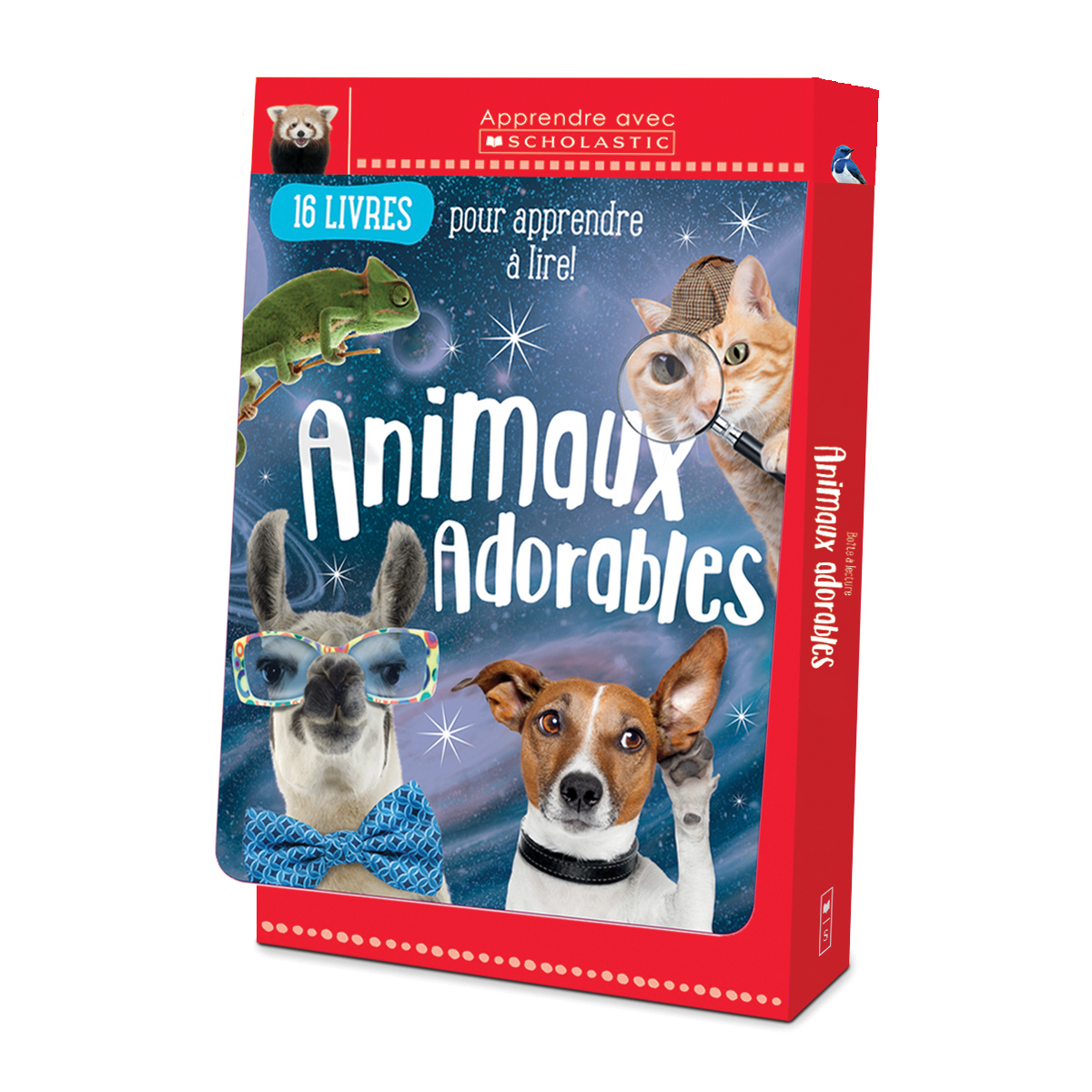  Apprendre avec Scholastic : Boîte à lecture : Animaux adorables 