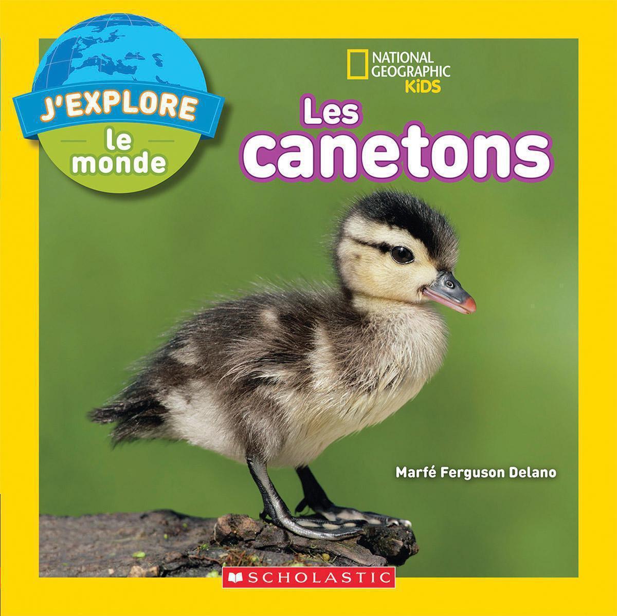  National Geographic Kids : J'explore le monde : Les canetons 