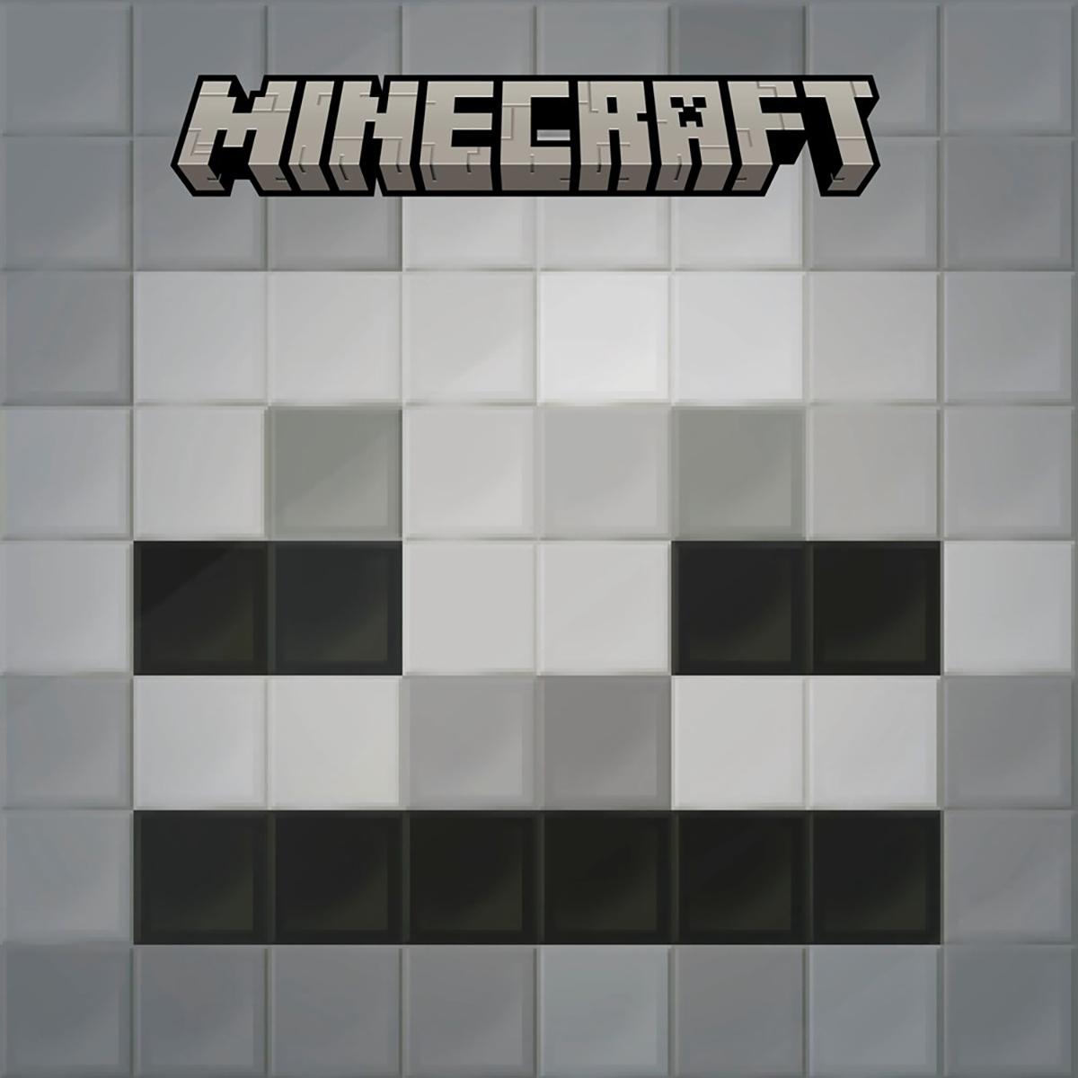  Minecraft: I Survived a Skeleton! 