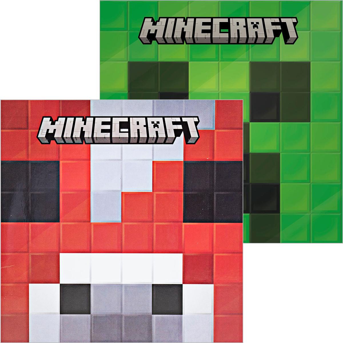  Minecraft Picture Books 2-Pack 