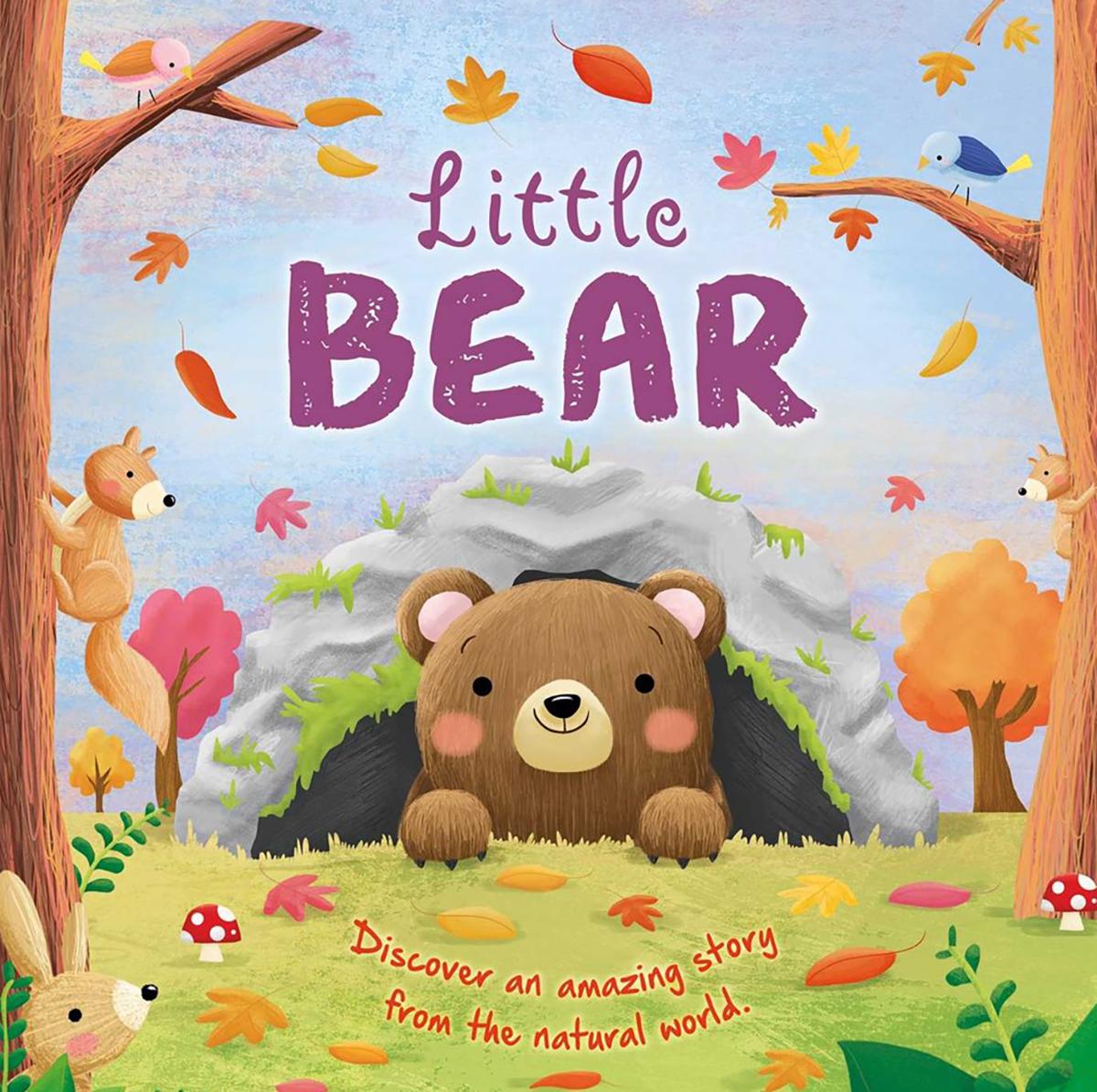  Little Bear 