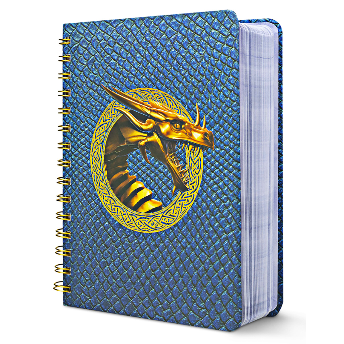  Dragon Journal 