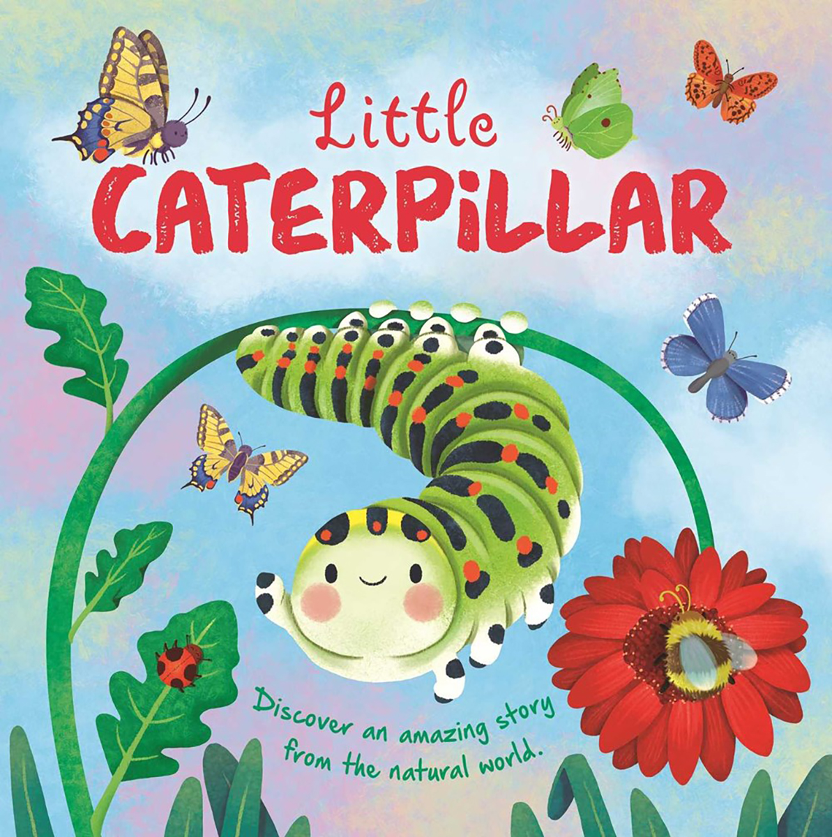  Little Caterpillar 