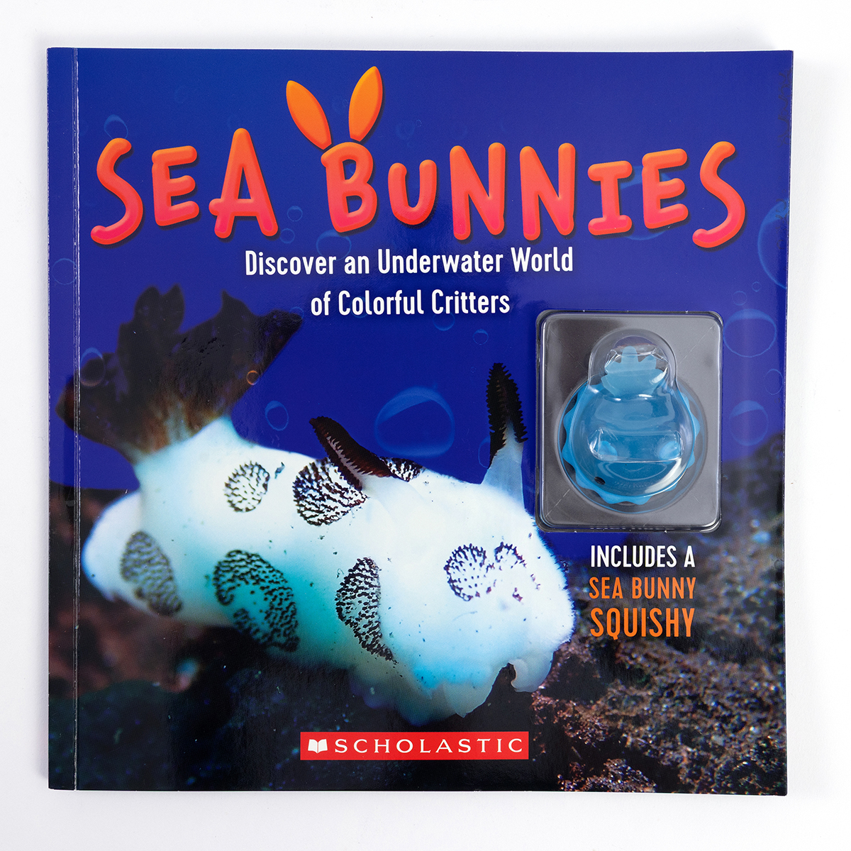 Sea Bunnies: Discover an Underwater World of Colorful Creatures