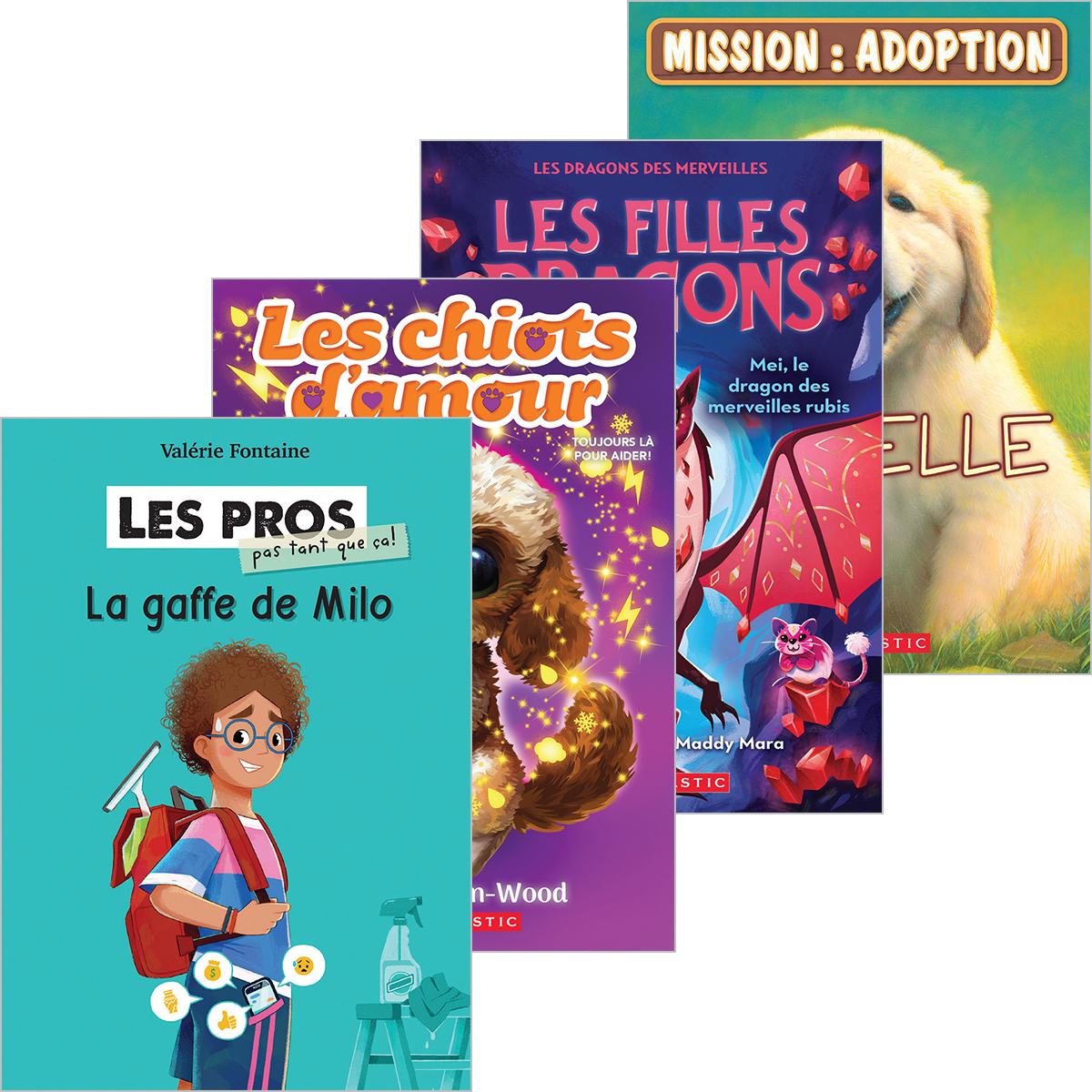 Biblioth&egrave;que de classe 3e ann&eacute;e et plus