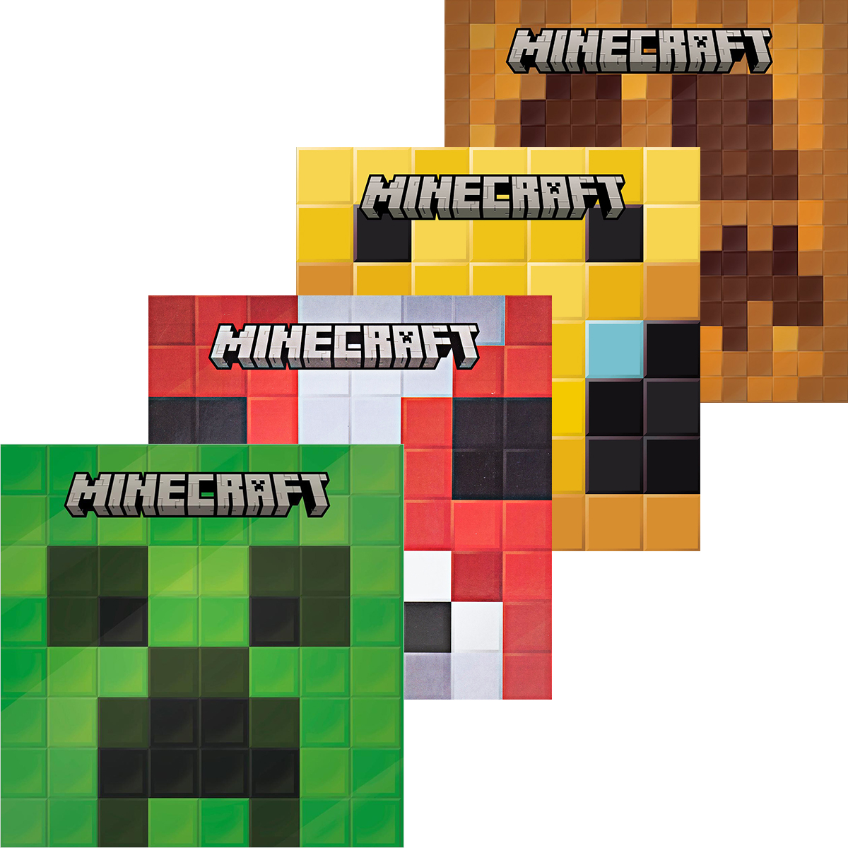 Minecraft Picture Book Pack