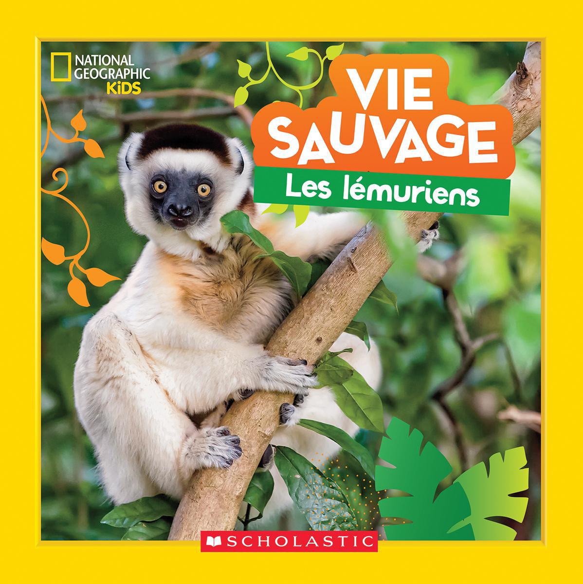  National Geographic Kids : Vie sauvage : Les lémuriens 
