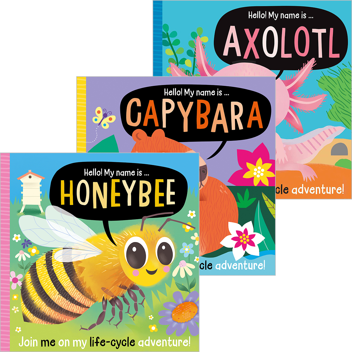 Hello! My Name is...Animal Lifecycles 3-Pack
