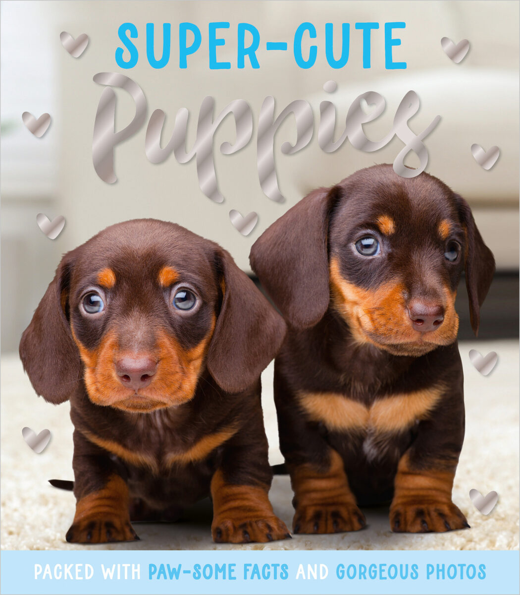  Super-Cute Puppies 