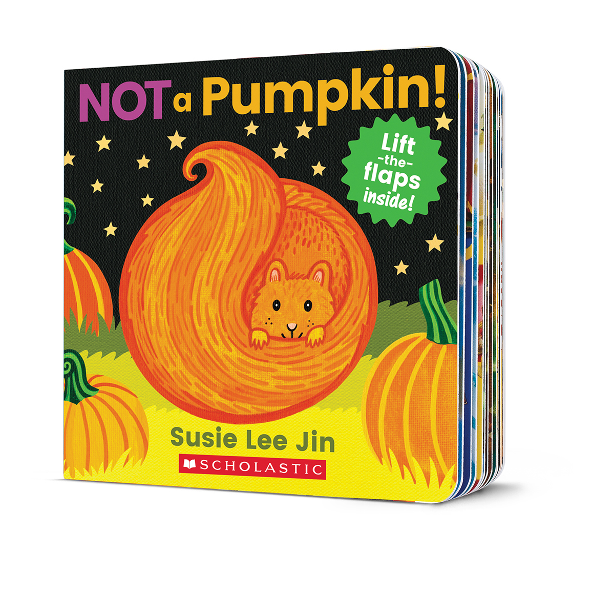  Not a Pumpkin! 