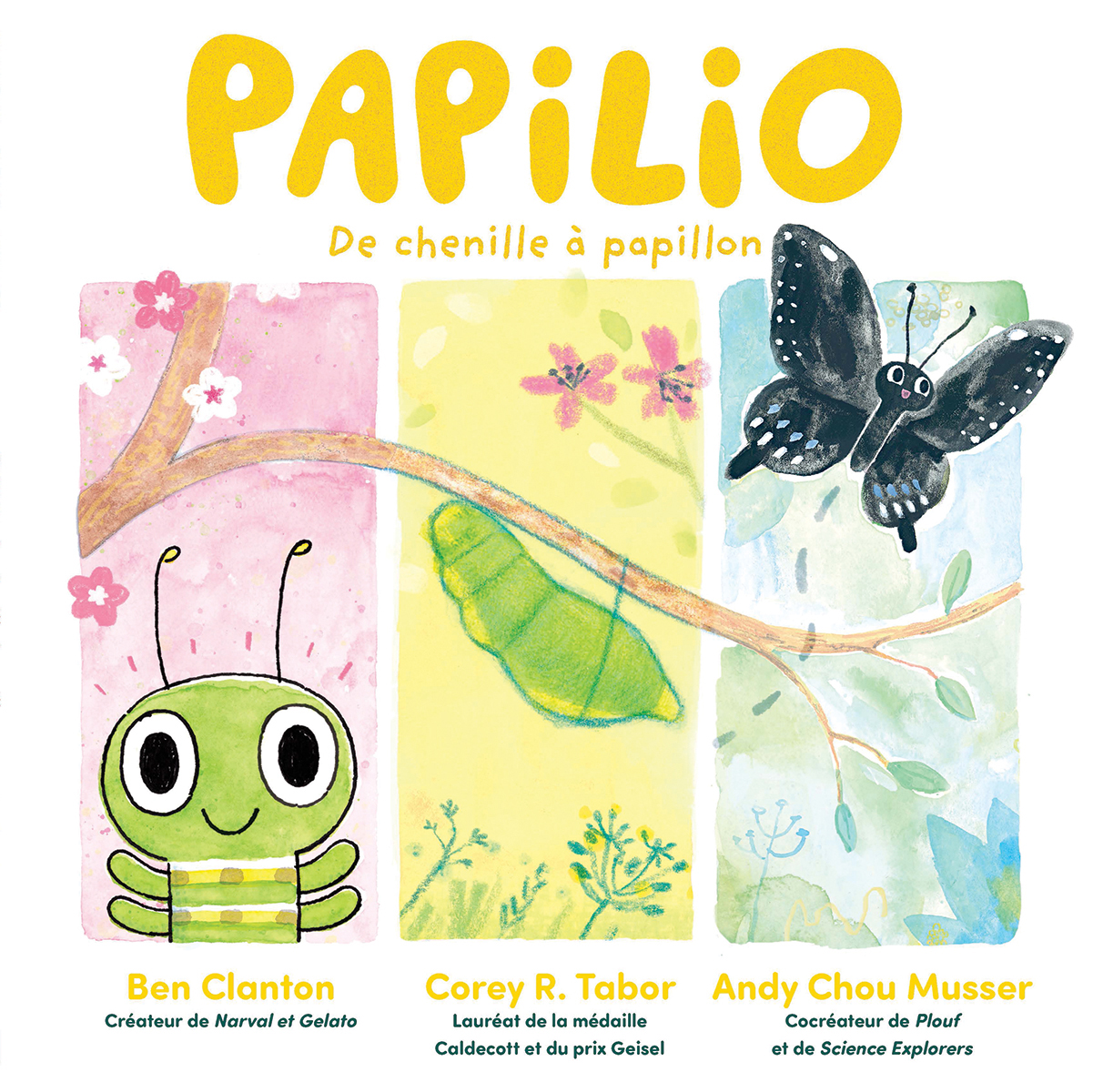Papilio : De chenille &agrave; papillon