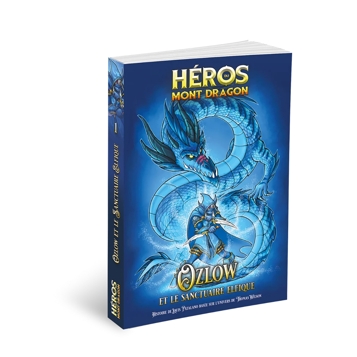 H&eacute;ros du Mont Dragon : N&deg; 1 - Ozlow et le Sanctuaire Elfique