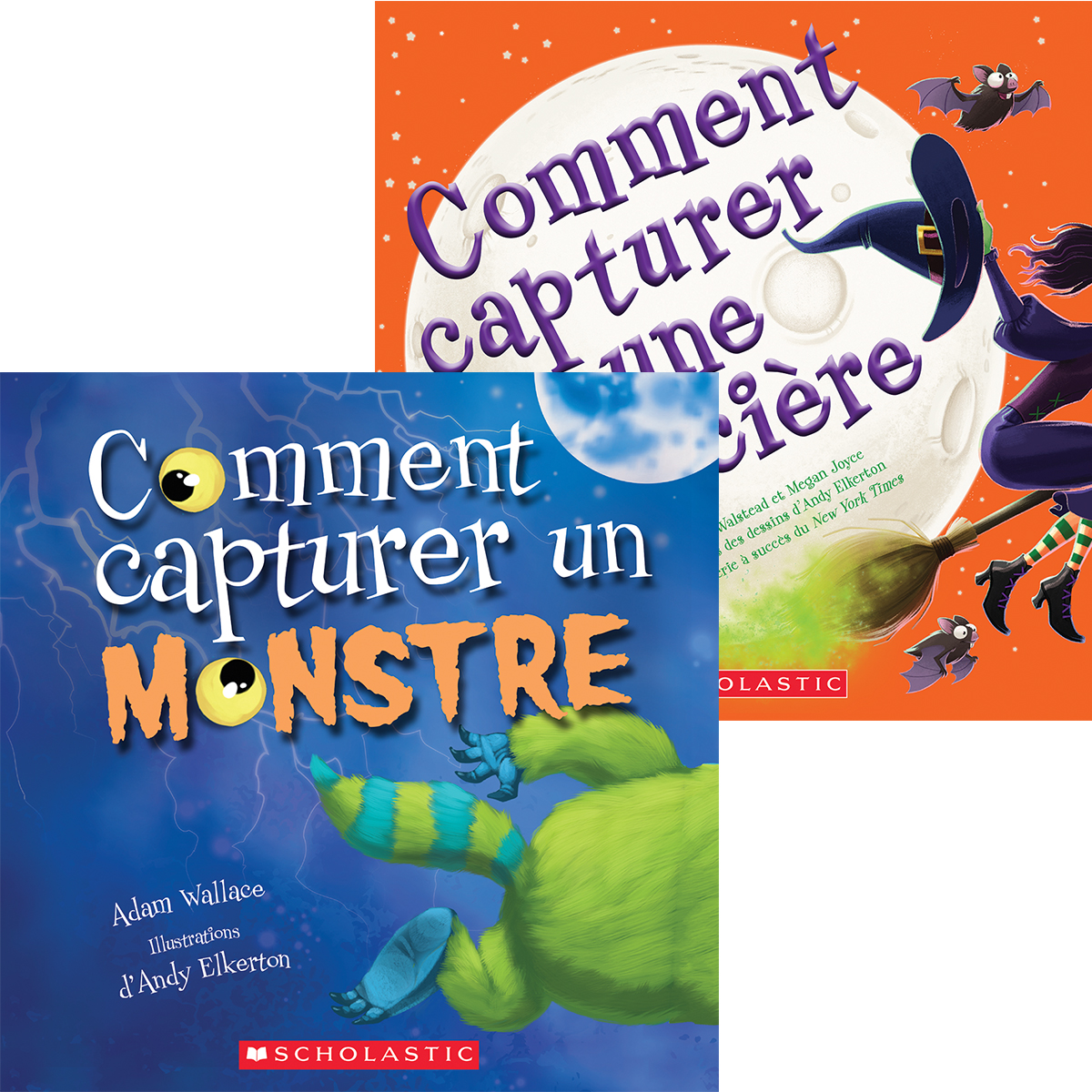  Duo Comment capturer - 2 livres 