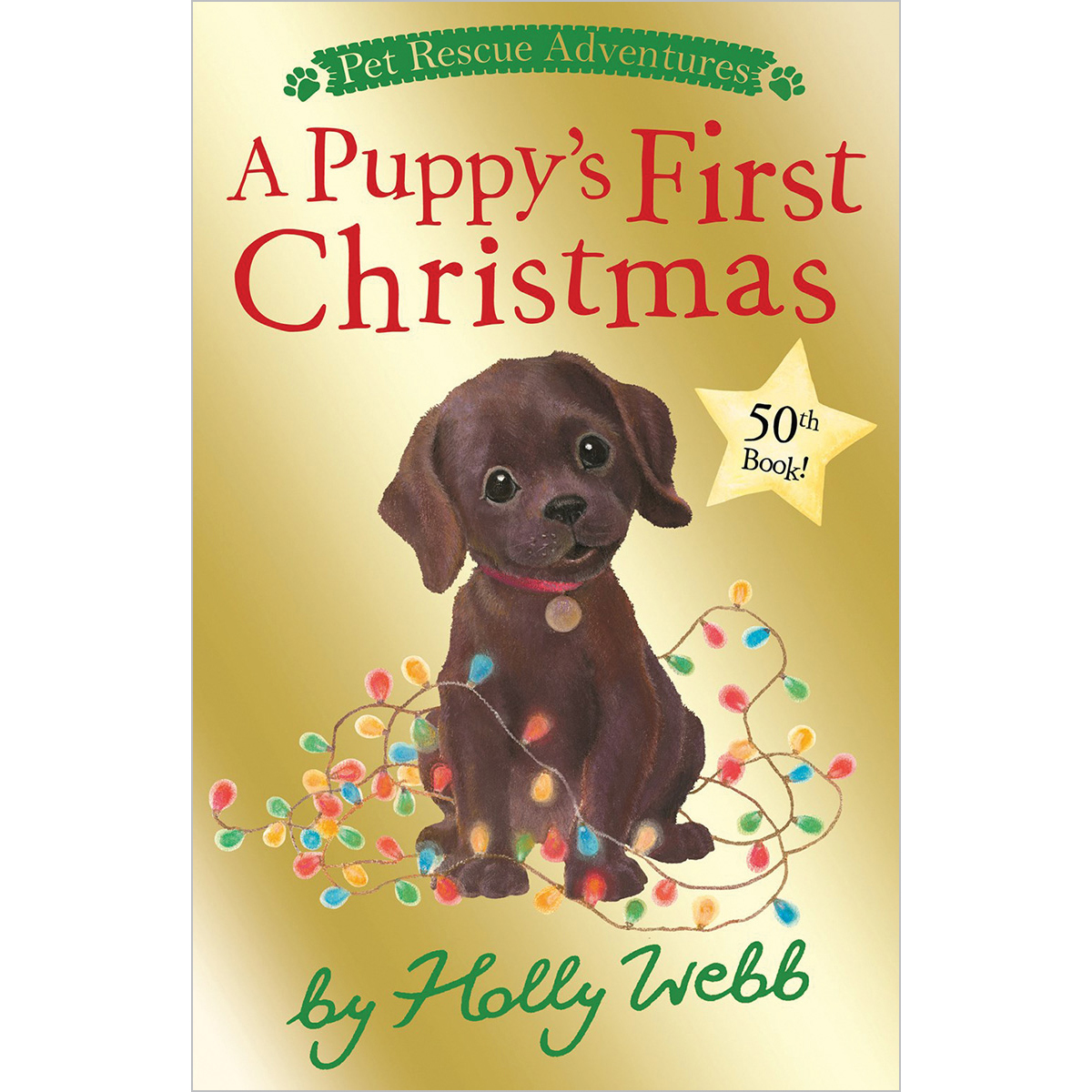 Pet Rescue Adventures: A Puppy&rsquo;s First Christmas 10-Pack