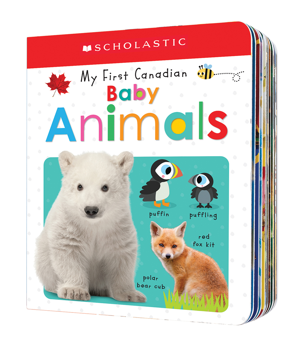  My First Canadian Baby Animals 