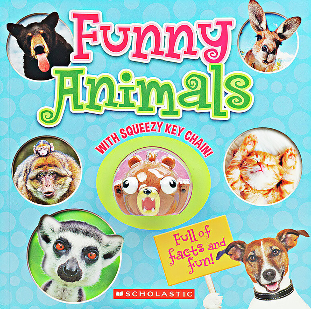  Funny Animals 