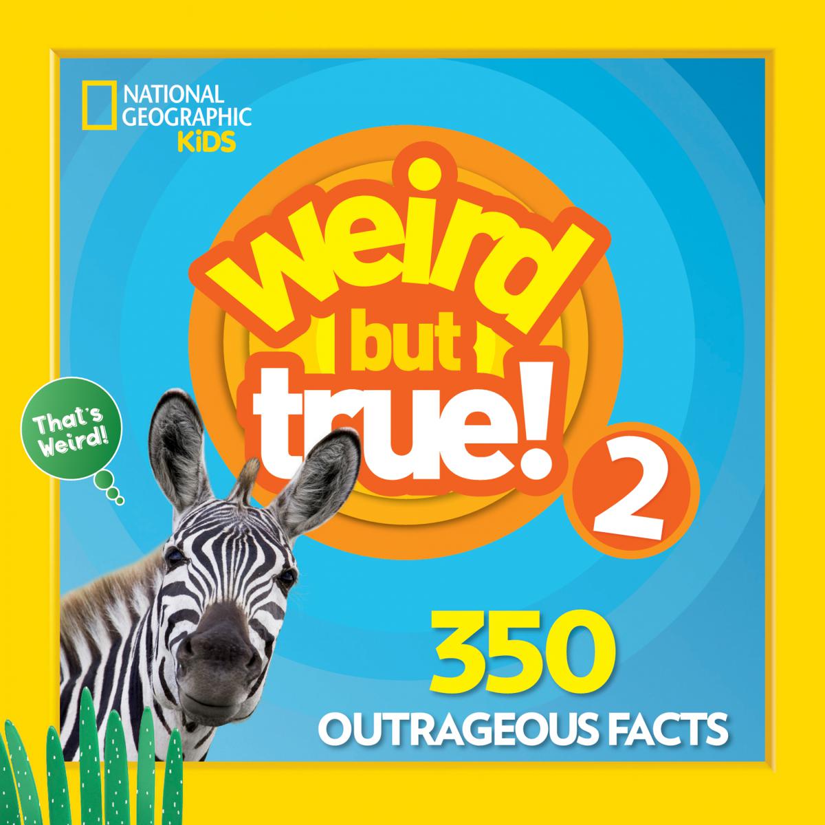 X−5 2 In Expanded vrogue.co