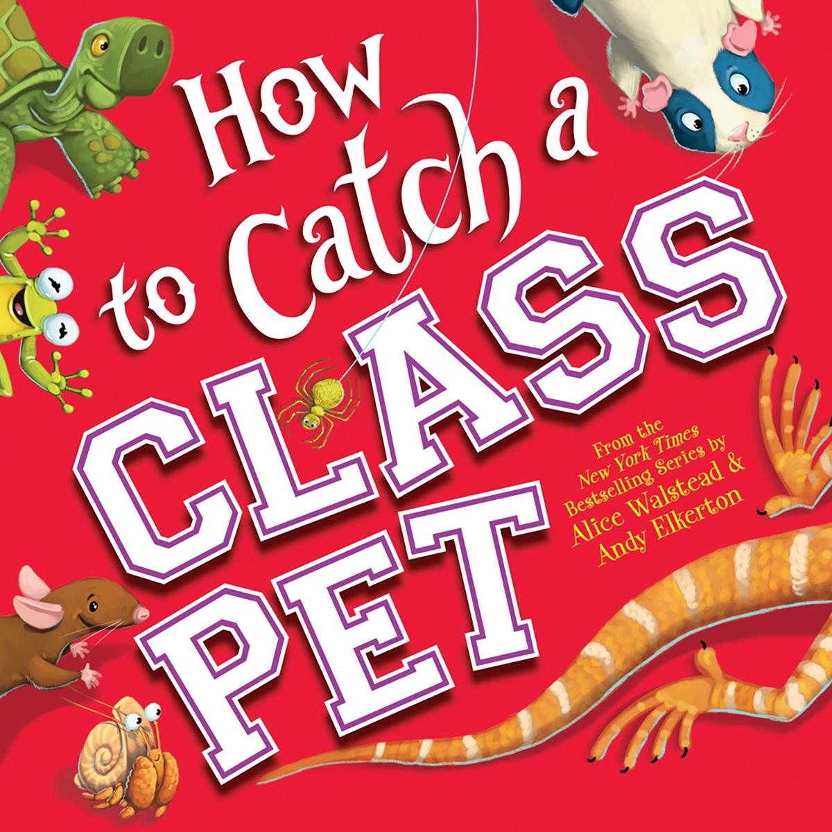  How to Catch a Class Pet 