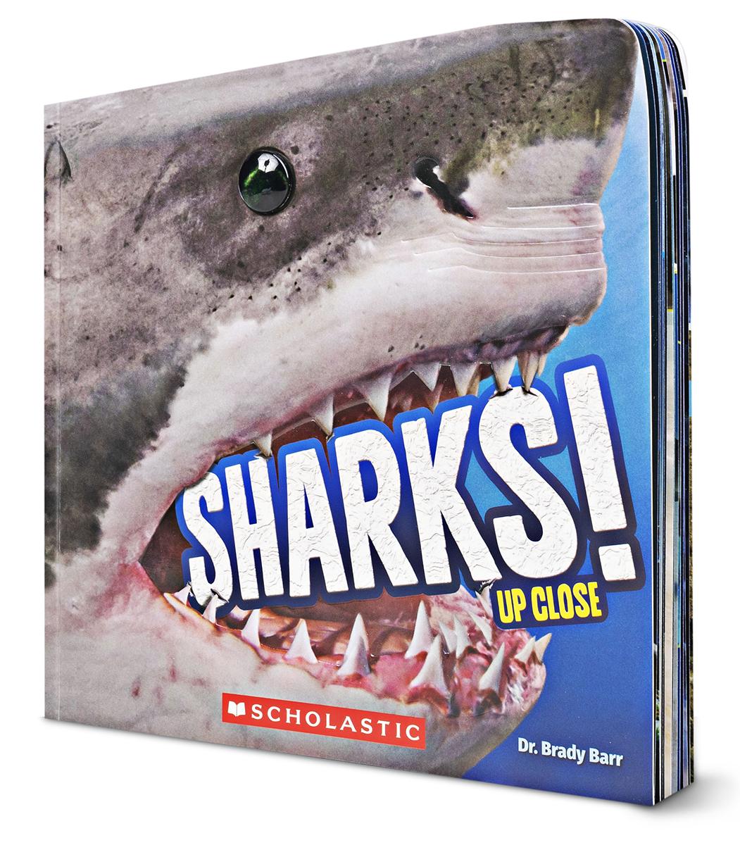  Sharks! Up Close 