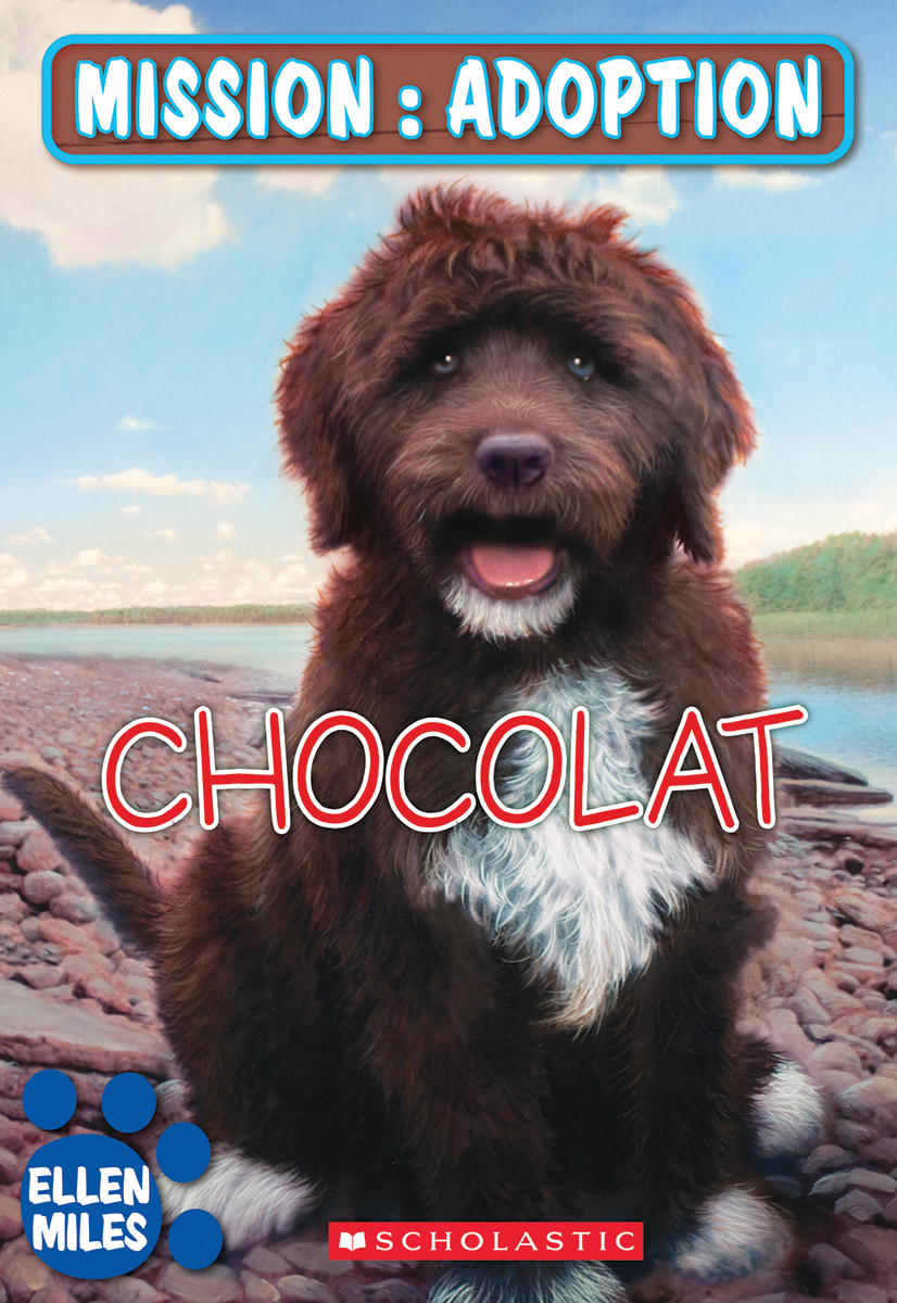 Mission : Adoption : Chocolat