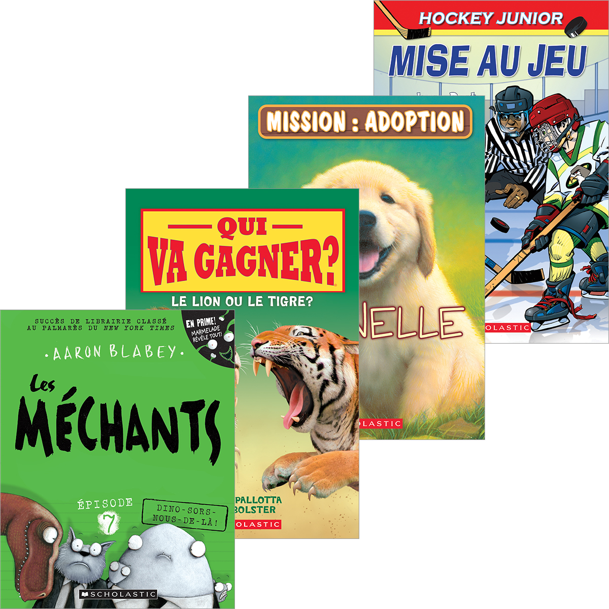  Bibliothèque de classe 3e à 5e année 