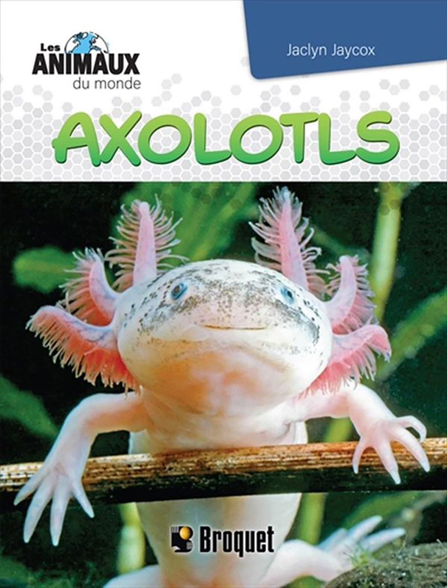  Les animaux du monde : Axolotls 