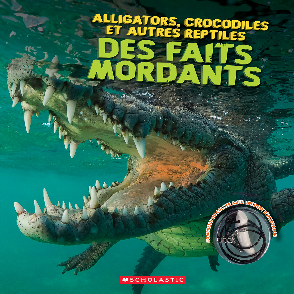 Alligators, crocodiles et autres reptiles : Des faits mordants