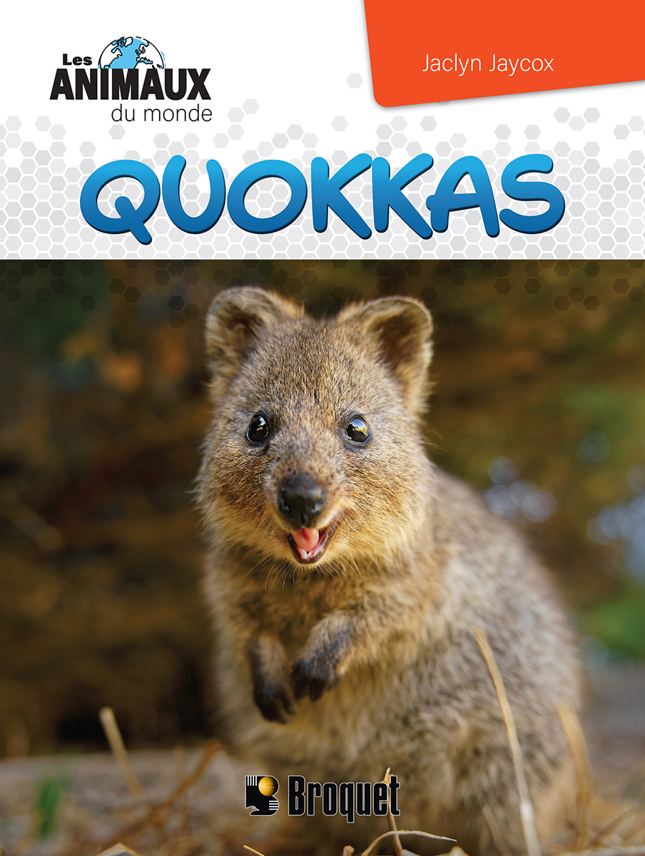 Animaux du monde : Quokkas