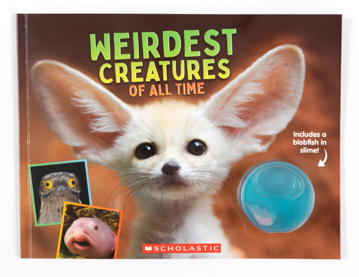  Weirdest Creatures of All Time 