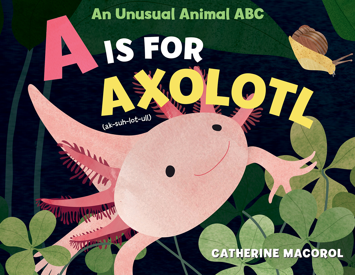A Is for Axolotl: An Unusual Animal ABC