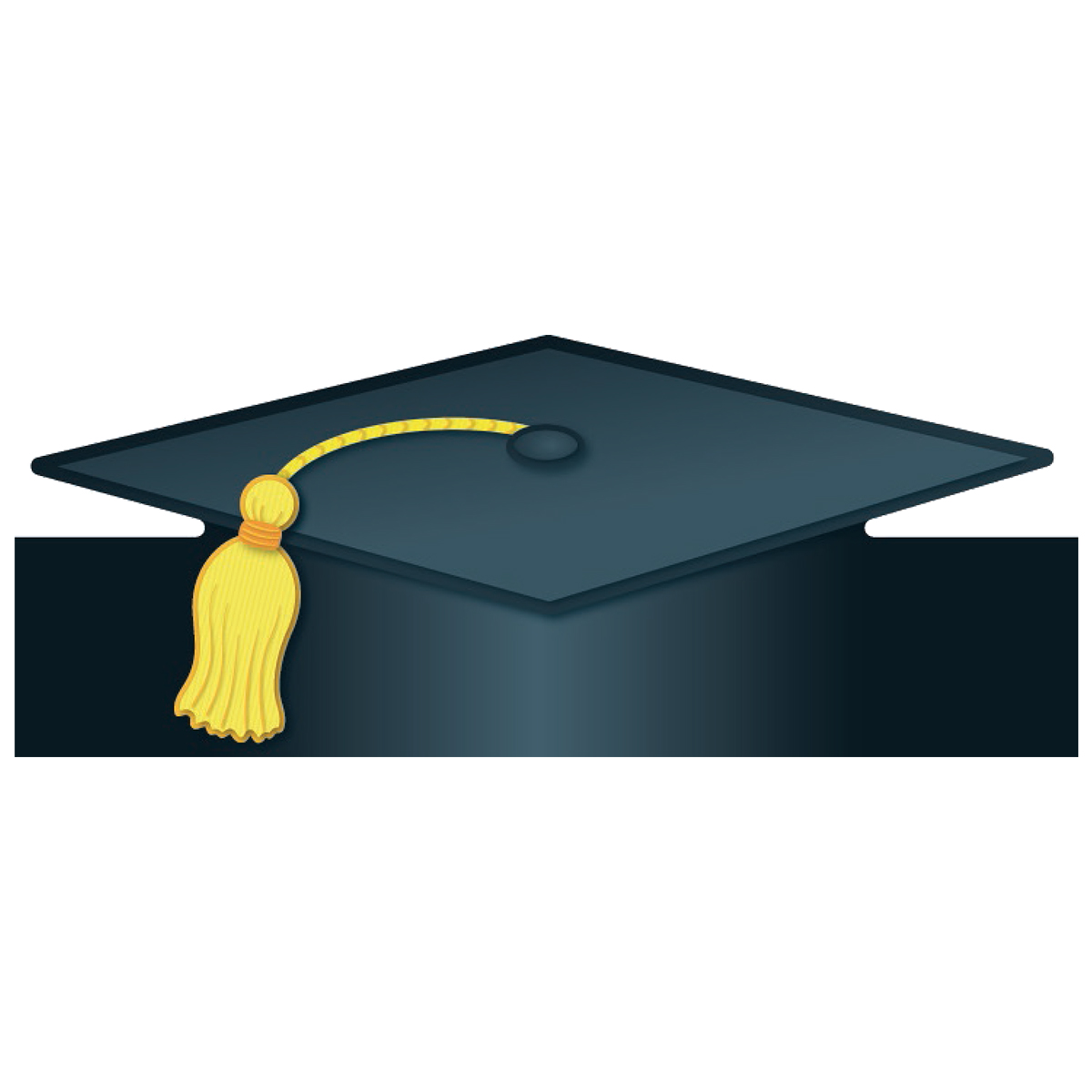  Graduation Caps 