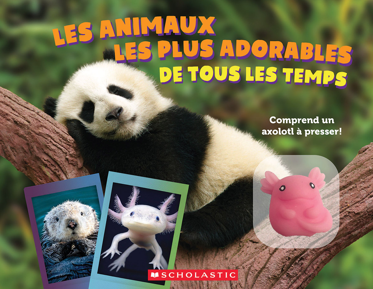 Les animaux les plus adorables de tous les temps