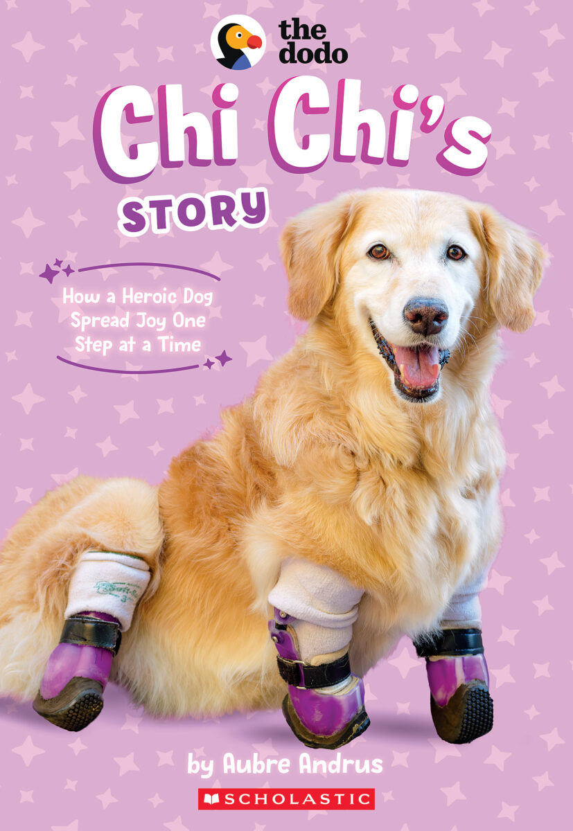  Chi Chi's Story 