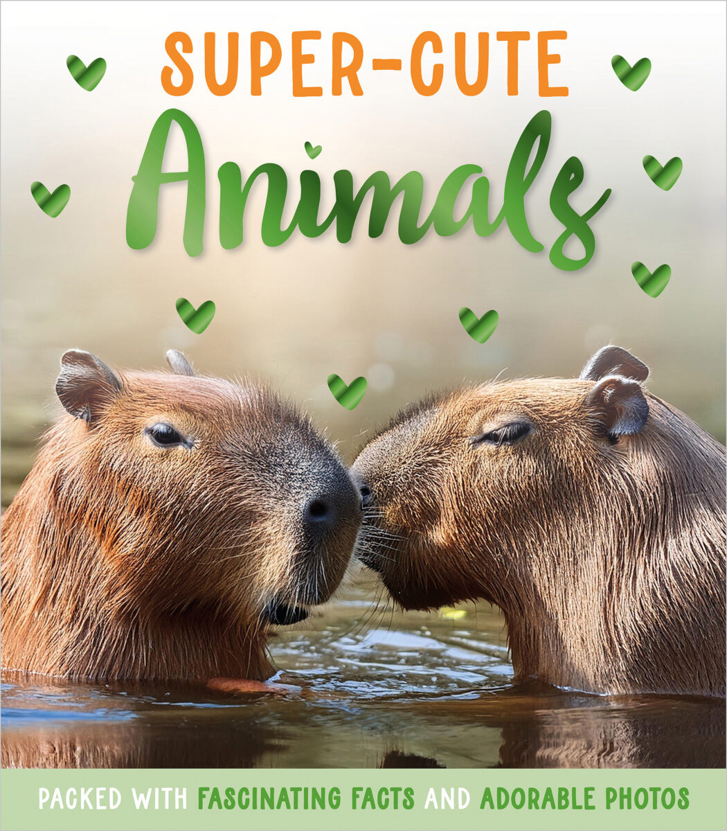  Super-Cute Animals 