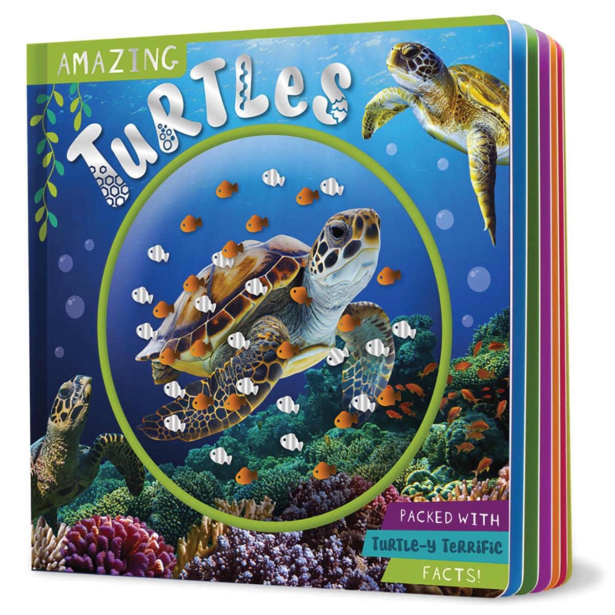  Amazing Turtles 