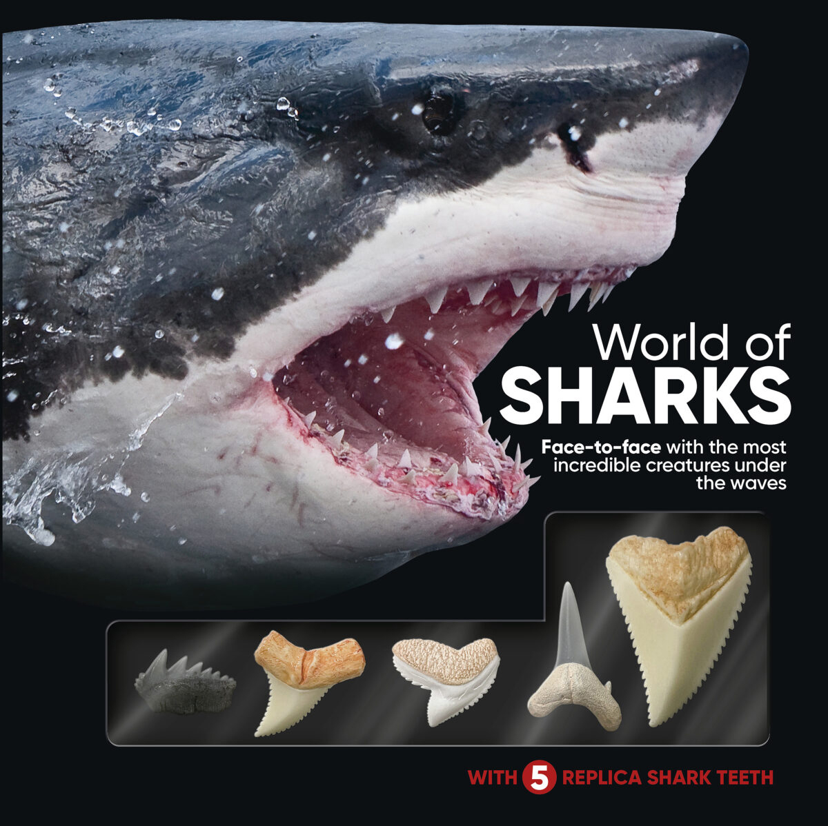  World of Sharks 