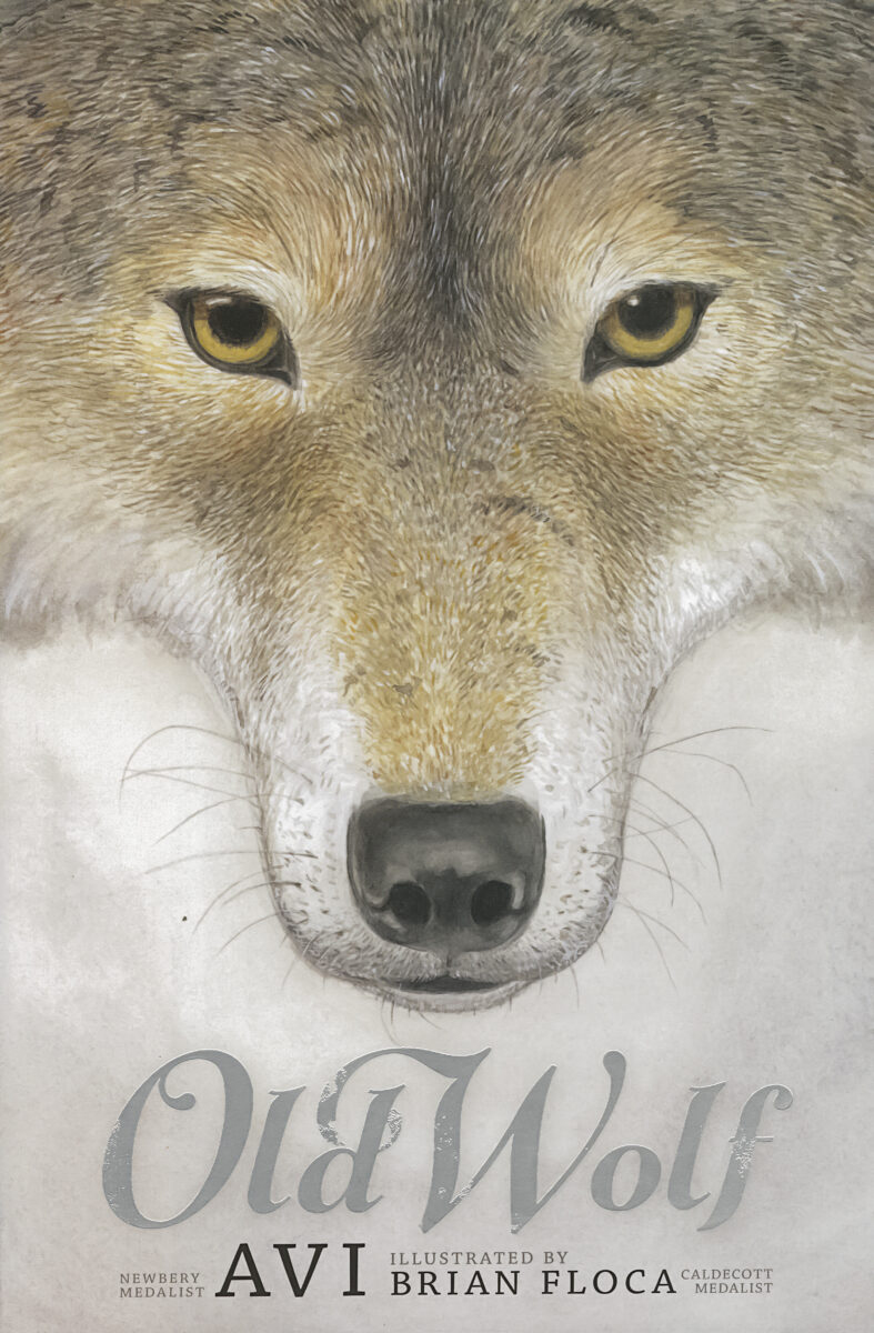  Old Wolf 
