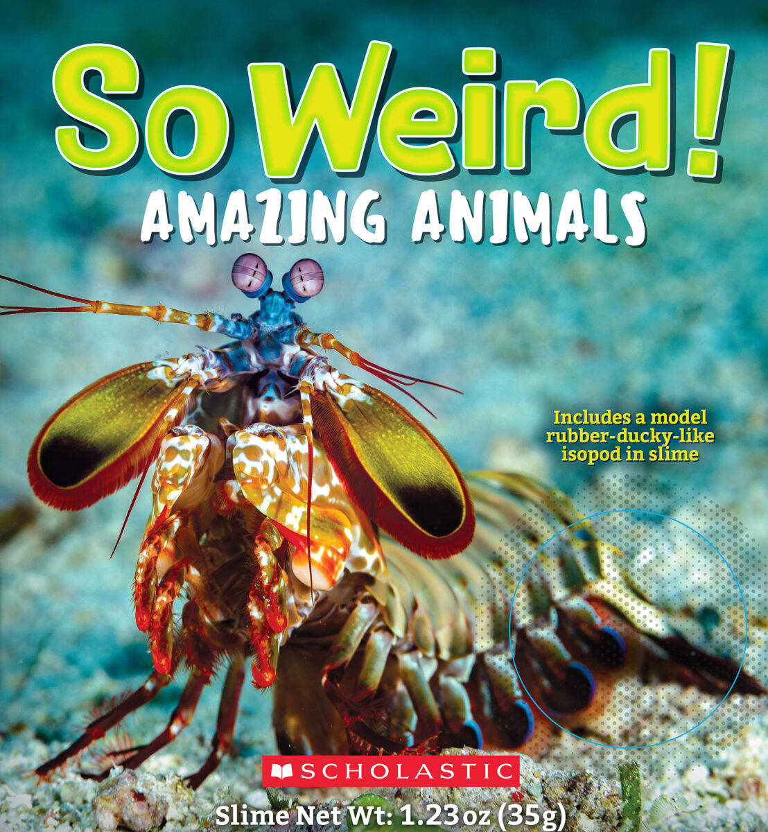  So Weird!: Amazing Animals 